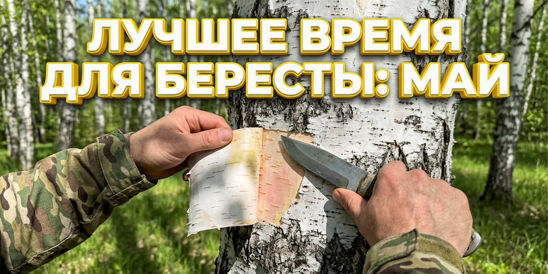 Черное золото севера: как 300 лет назад карельские затворники выжигали березовый деготь в глухих лесах