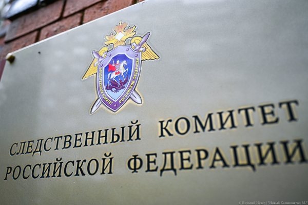 СК: калининградца ждет суд за склонение подростков к употреблению наркотиков