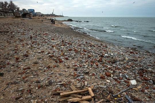 Пляж Каспийского моря
