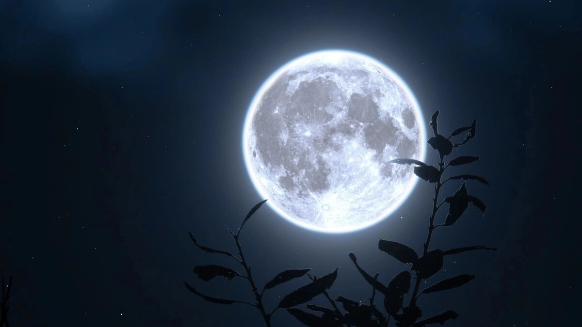    Фото: vitastronomy/Shutterstock/Fotodom