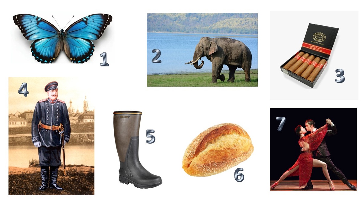 Какая картинка тут лишняя? 