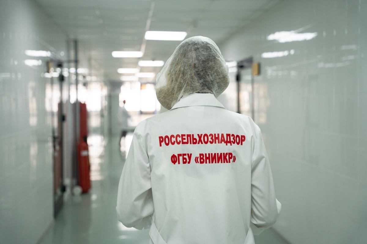 Фото: Александр Плонский / «Агроэксперт»