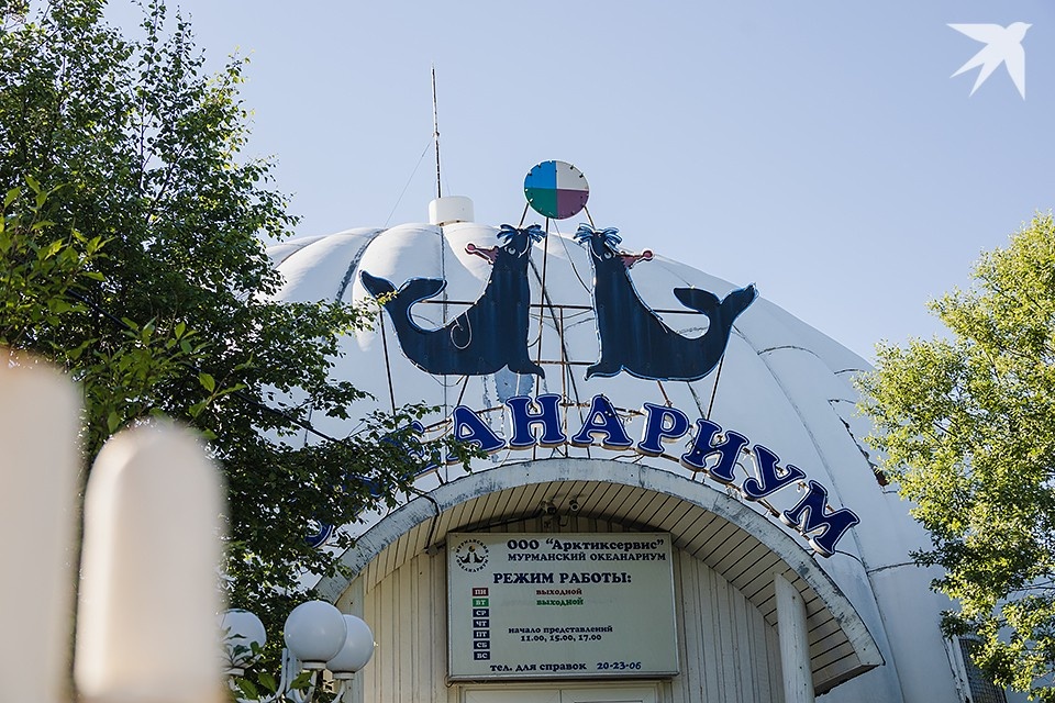   Недавно сотрудники прокуратуры вновь посетили океанариум и выяснили, что невыплаты продолжаются. Антон ЗАБИРОВ