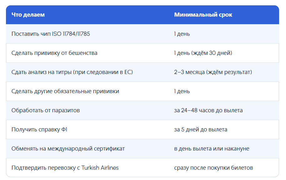 Оптимально начинать подготовку за 3–4 месяца до вылета. Самый долгий этап — титры (если они нужны).