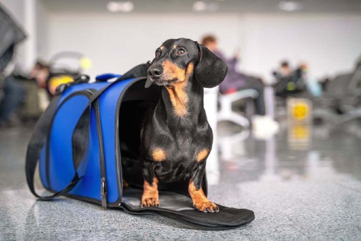    Фото: iStock/Ирина Мещерякова