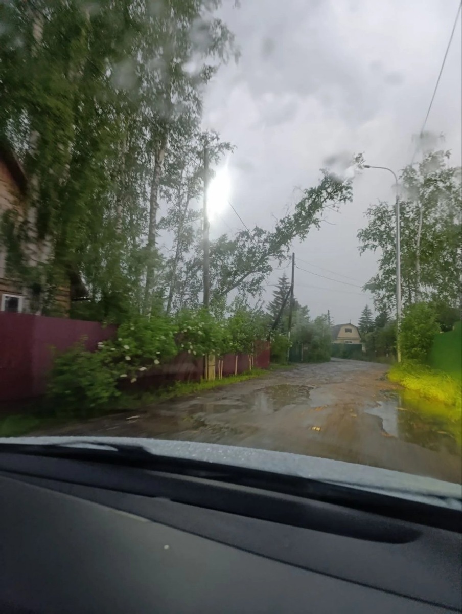    В СНТ на окраинах Тюмени дерево упало прямо на элетропровода