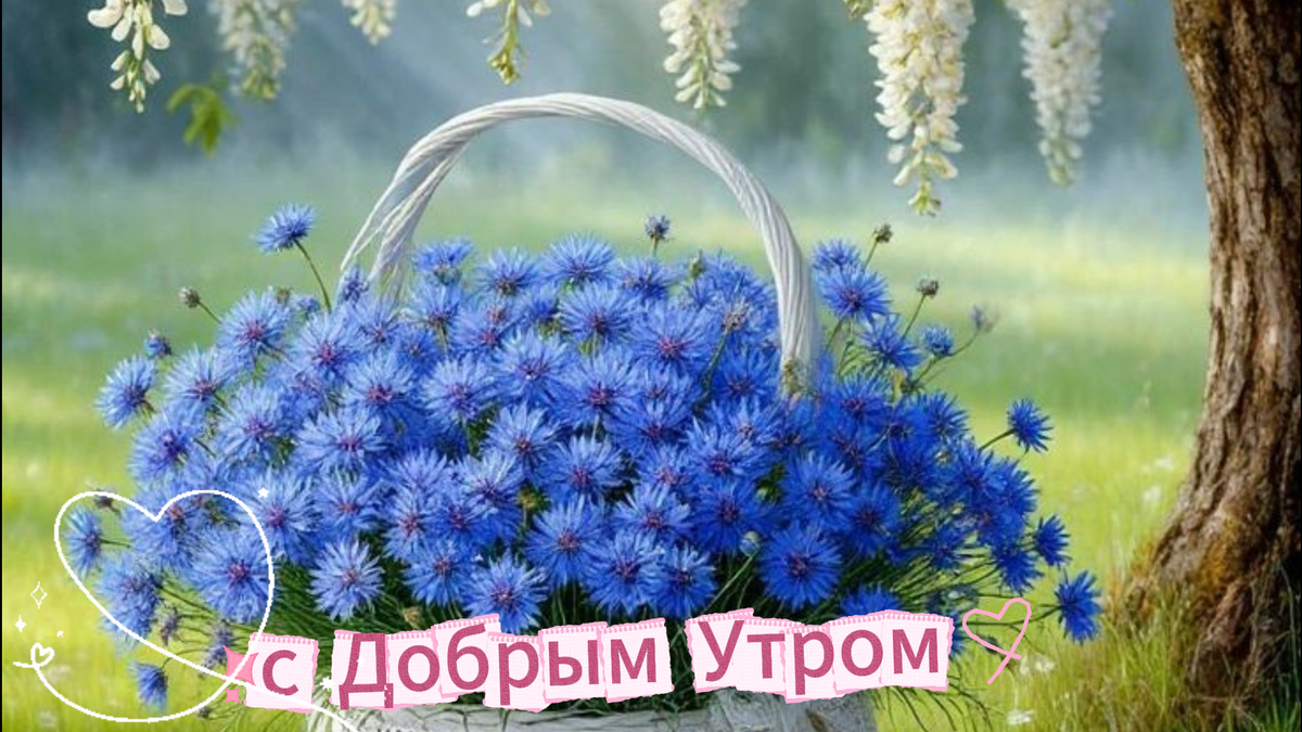 пожелать добром утром как