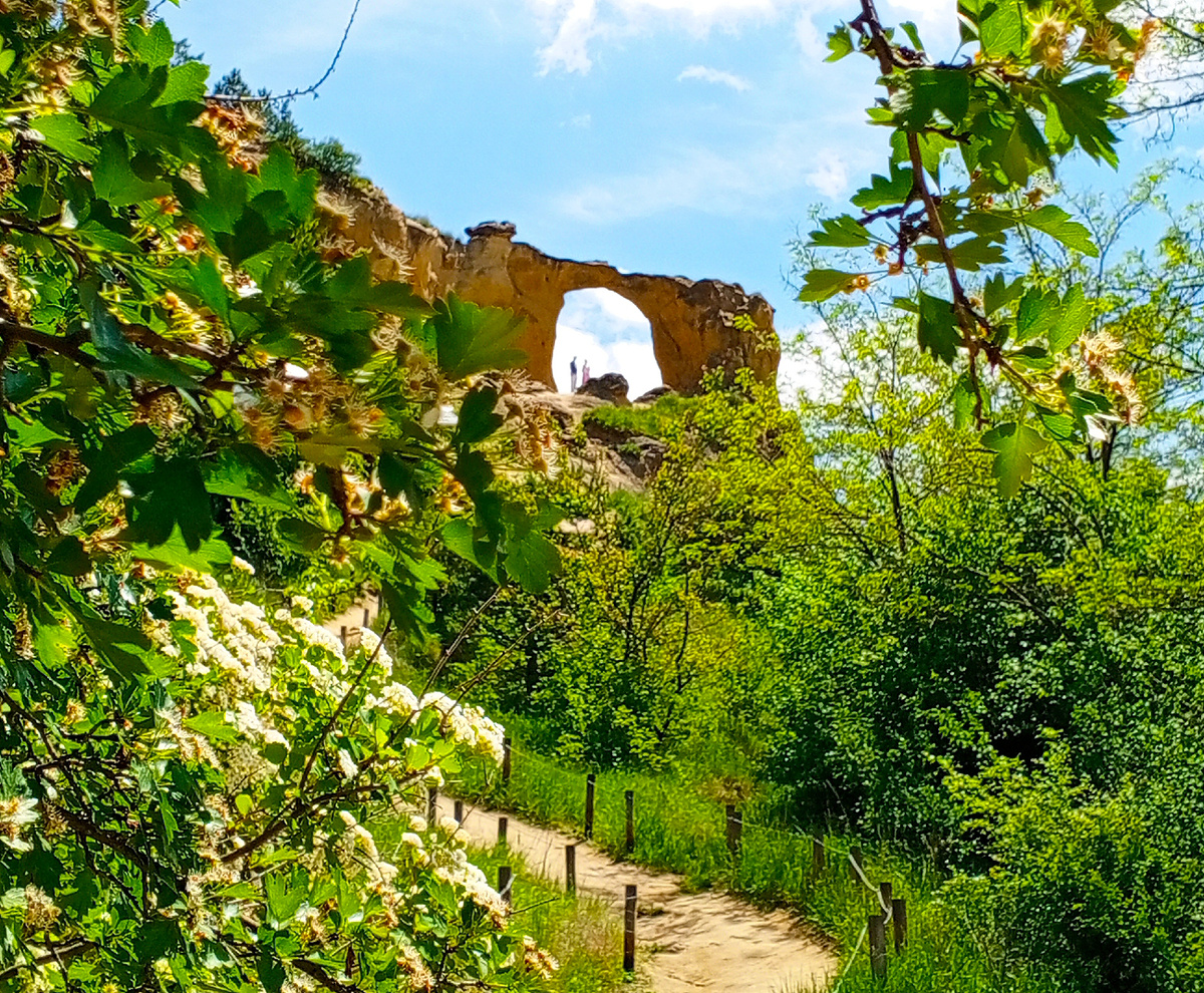 Фото автора.