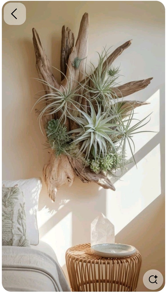 Фото из интернета. Источник pinterest