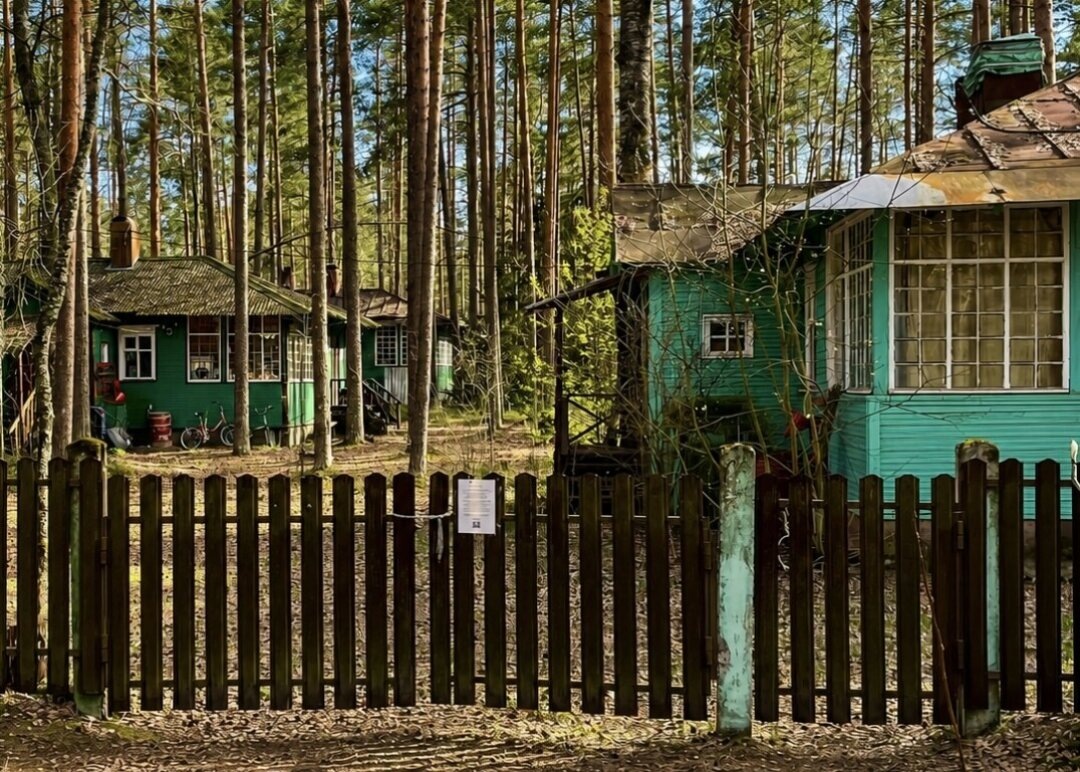    Писательские дачи в поселке Комарово  Фото: Фото: Инна Метелькова