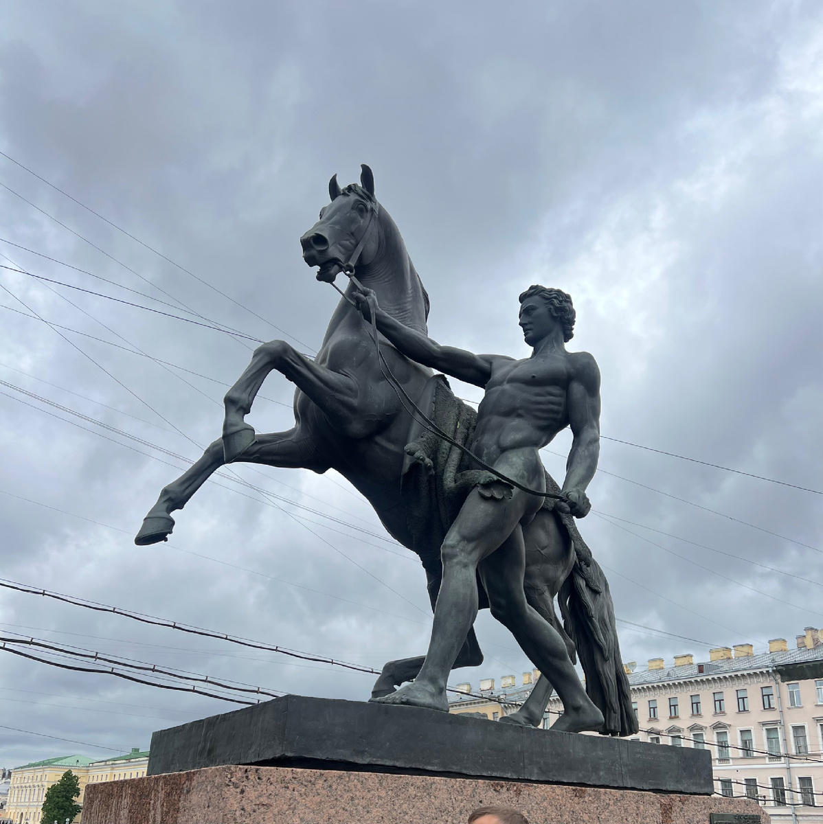 Скульптурная группа «Укрощение коней» на Аничковом мосту в Санкт-Петербурге — один из символов города. Она состоит из четырёх бронзовых композиций, изображающих разные стадии борьбы человека с конём — от яростного сопротивления до постепенного подчинения. Автор работ — барон Пётр Карлович Клодт, русский скульптор немецкого происхождения, известный своим мастерством в изображении лошадей.