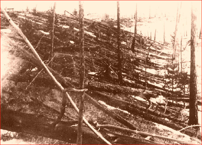 Поваленные деревья в районе Тунгуски — сфотографированы экспедицией 1927 года. Вещества излучаются радиально от центра взрыва на площади 2000 квадратных километров.