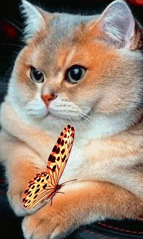 Из открытых источников