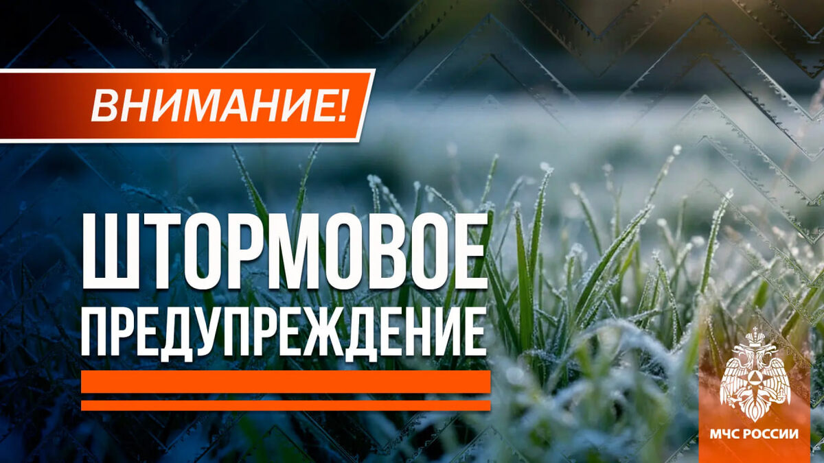Заморозки 