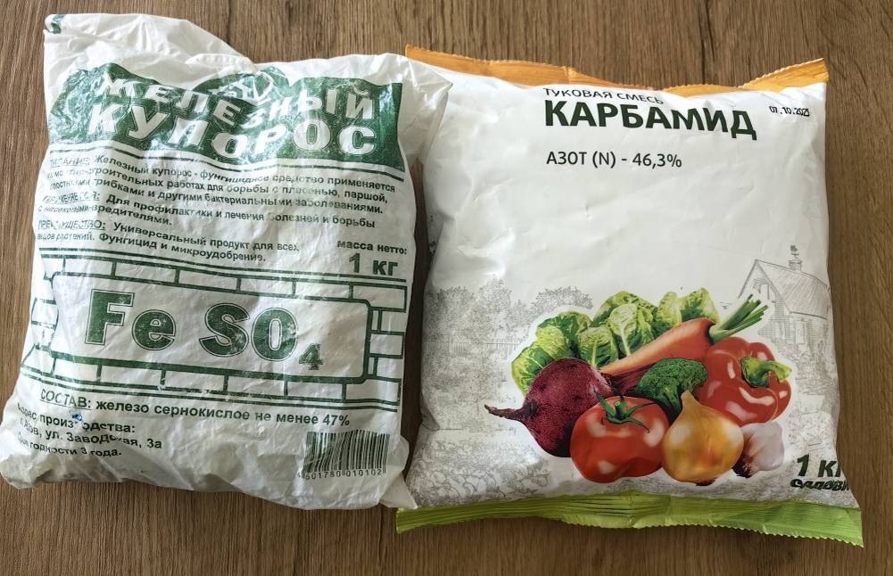 Фото Натальи Мироновой