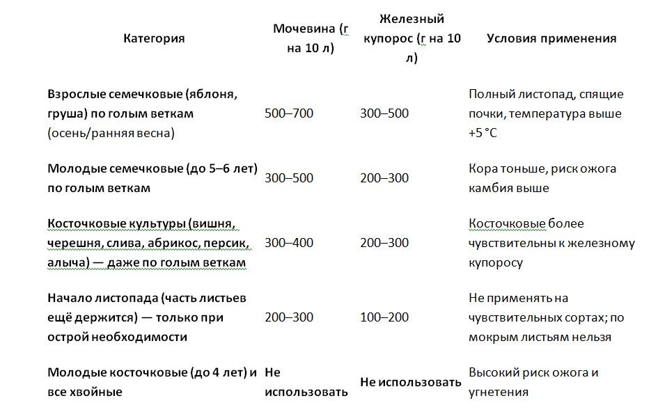 Таблица и фото Натальи Мироновой