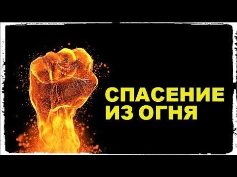 Спасение из огня: История о доброте, любви и преданности