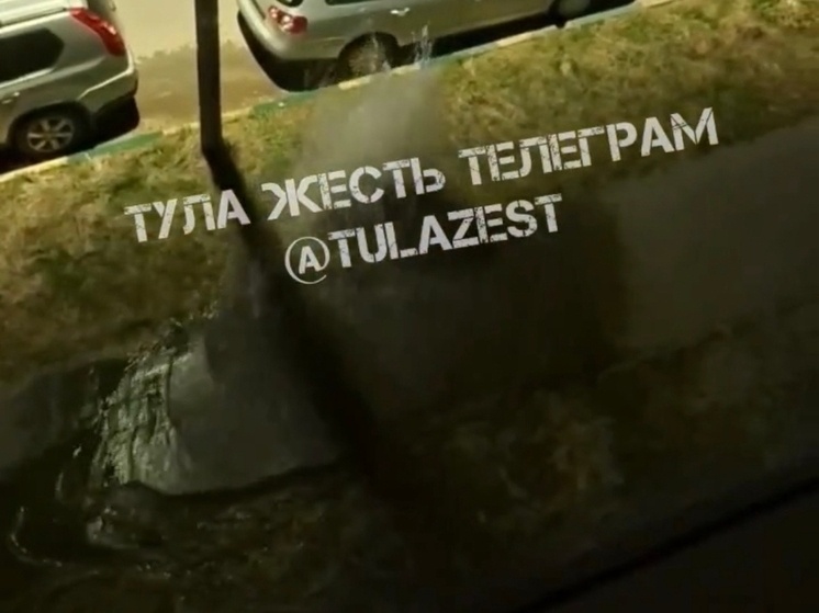     Фото: Тула ЖЕСТЬ