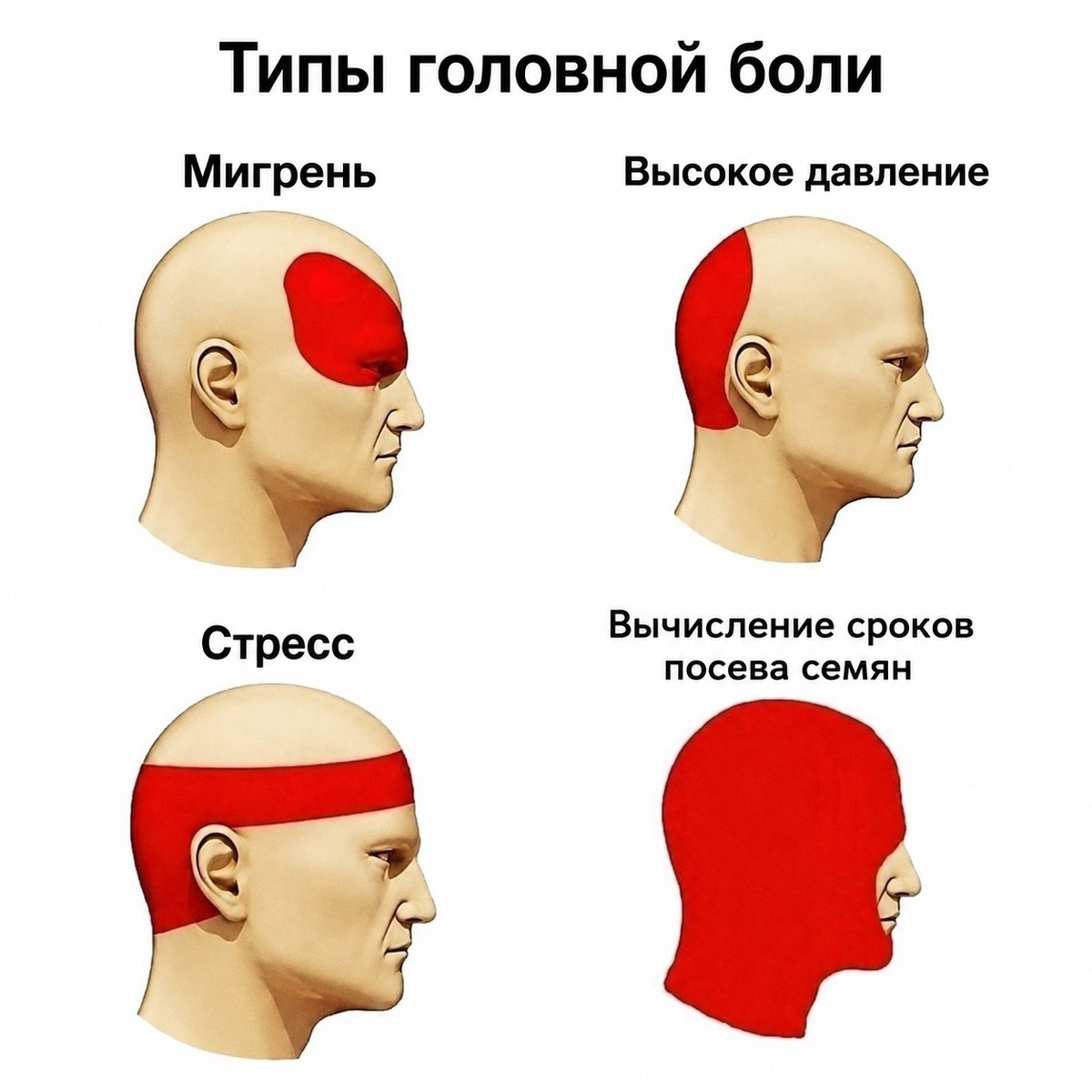    Соцсети