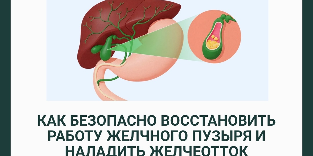 Как безопасно восстановить работу желчного пузыря и наладить желчеотток