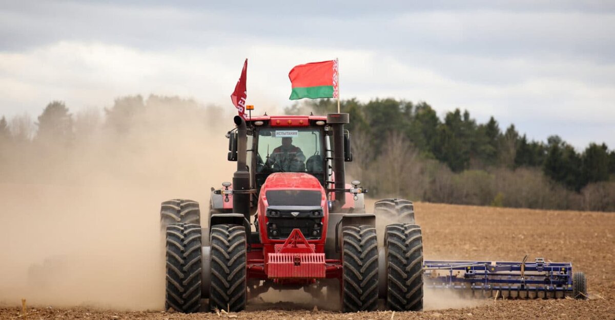    Трактор Belarus