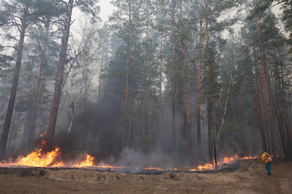     В Курганской области объявили о чрезвычайной пожарной опасности на четыре дня