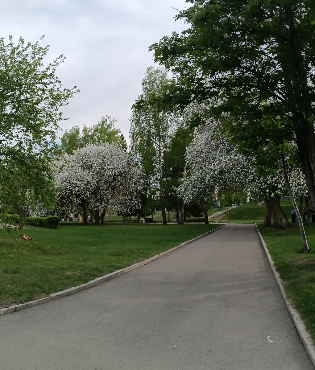 Где-то на просторах моего города. Фотография автора, май 2026 года. 