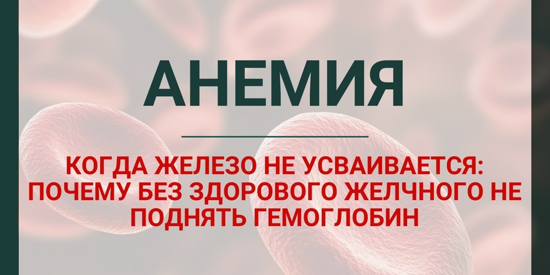АНЕМИЯ: скрытая угроза памяти, мозга и… желчного пузыря.