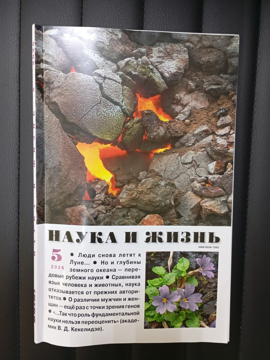 Фотография автора