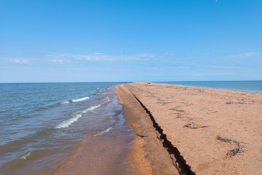    Остров в Каспийском море, образовавшийся на месте обмелевшей банки Тбилиси, за год вырос в высоту в два раза / Из личного архива Ивана Ермакова