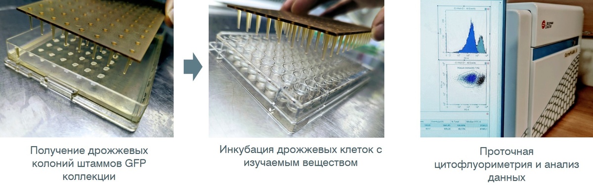 Схема проведения эксперимента