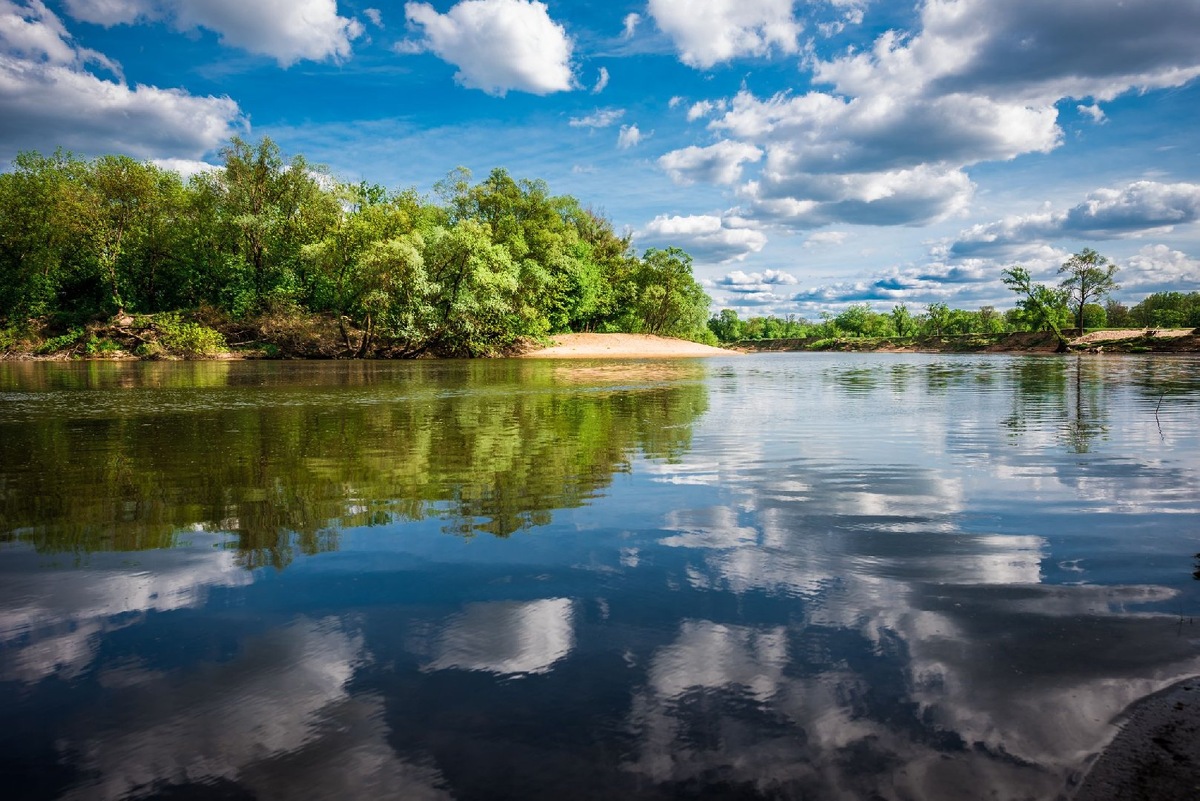    Фото: iStock/ invizbk