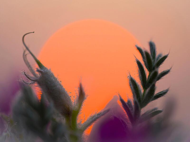 © Фото: Алина Попова | «Заповедное Прибайкалье»