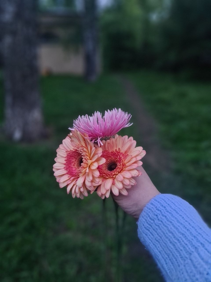 Фото из личного архива автора.