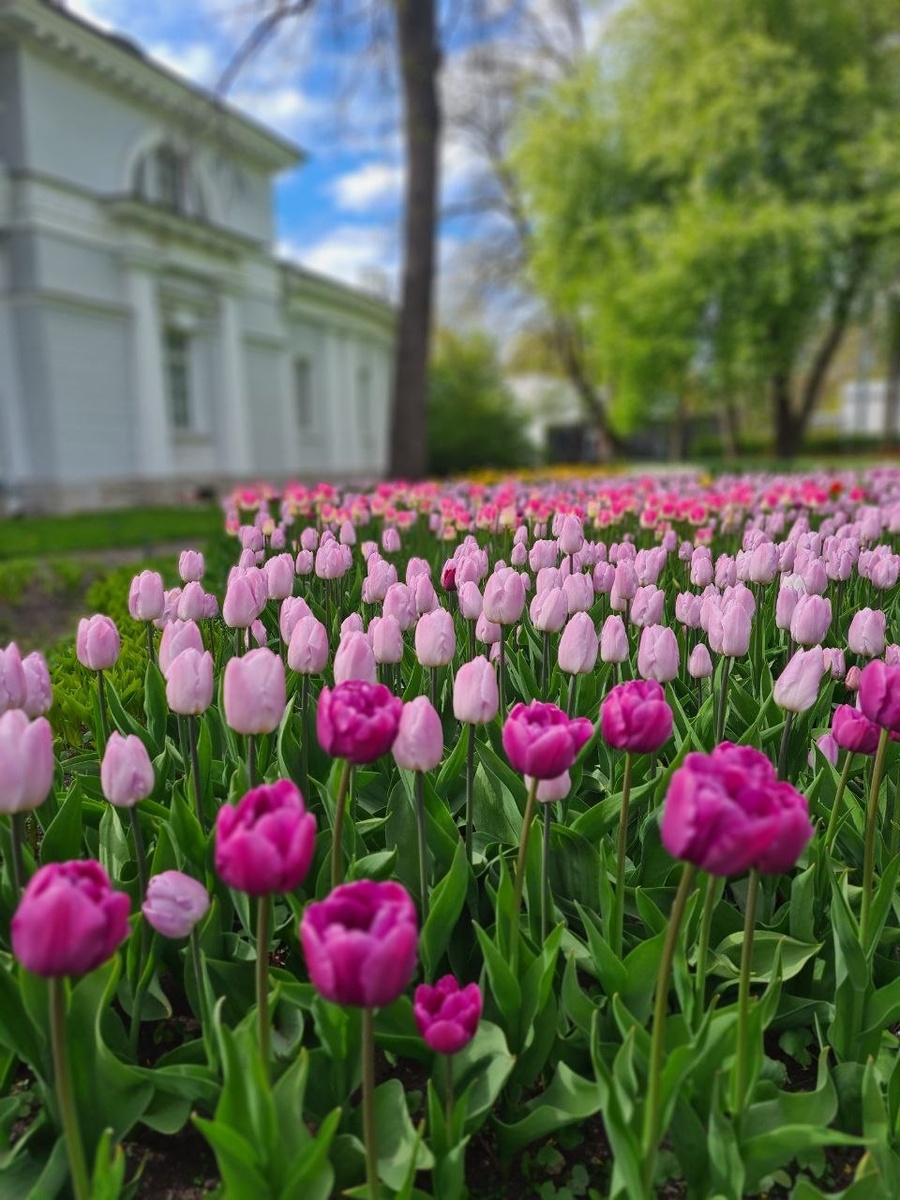 Фото из личного архива автора.