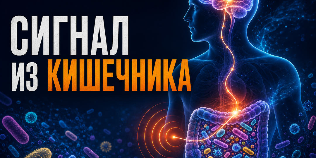 Кишечник может предупреждать о Паркинсоне раньше симптомов