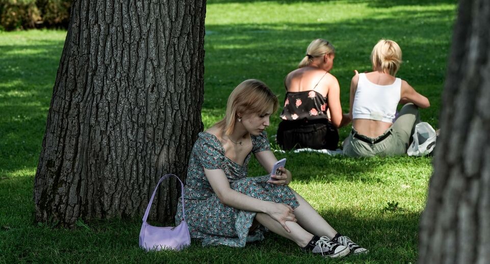    Медиасток.рф