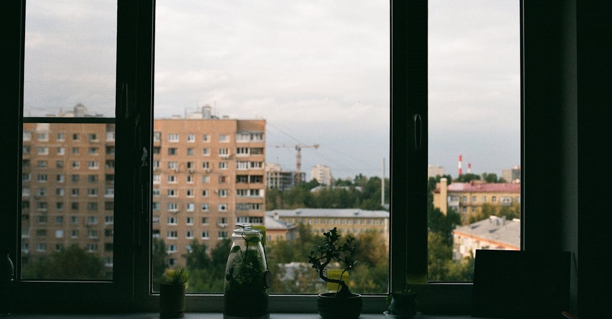    Фото: Pexels, @Anastasia Dvoryanova