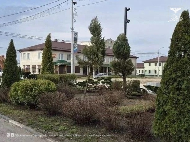     В Чернянке будущие ландшафтные дизайнеры благоустроили центральную площадь, фото: vk.com/belgorod_region
