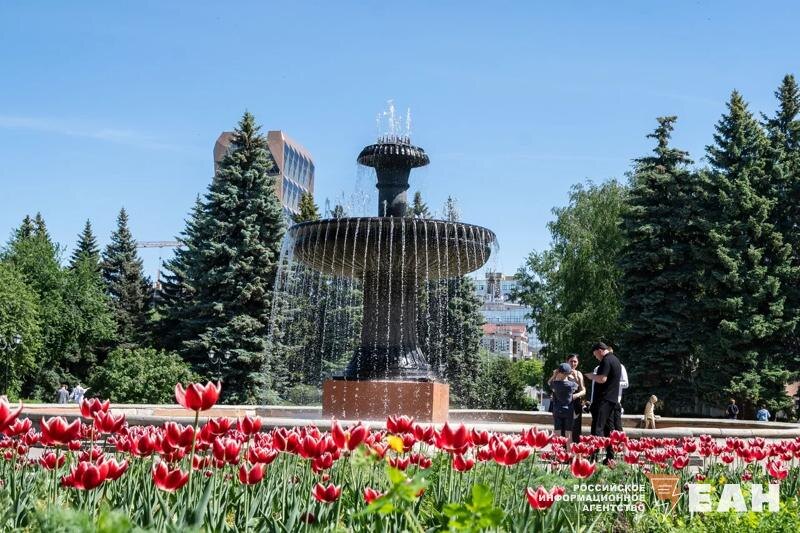    ЕАН. Фонтан в дендропарке Екатеринбурга