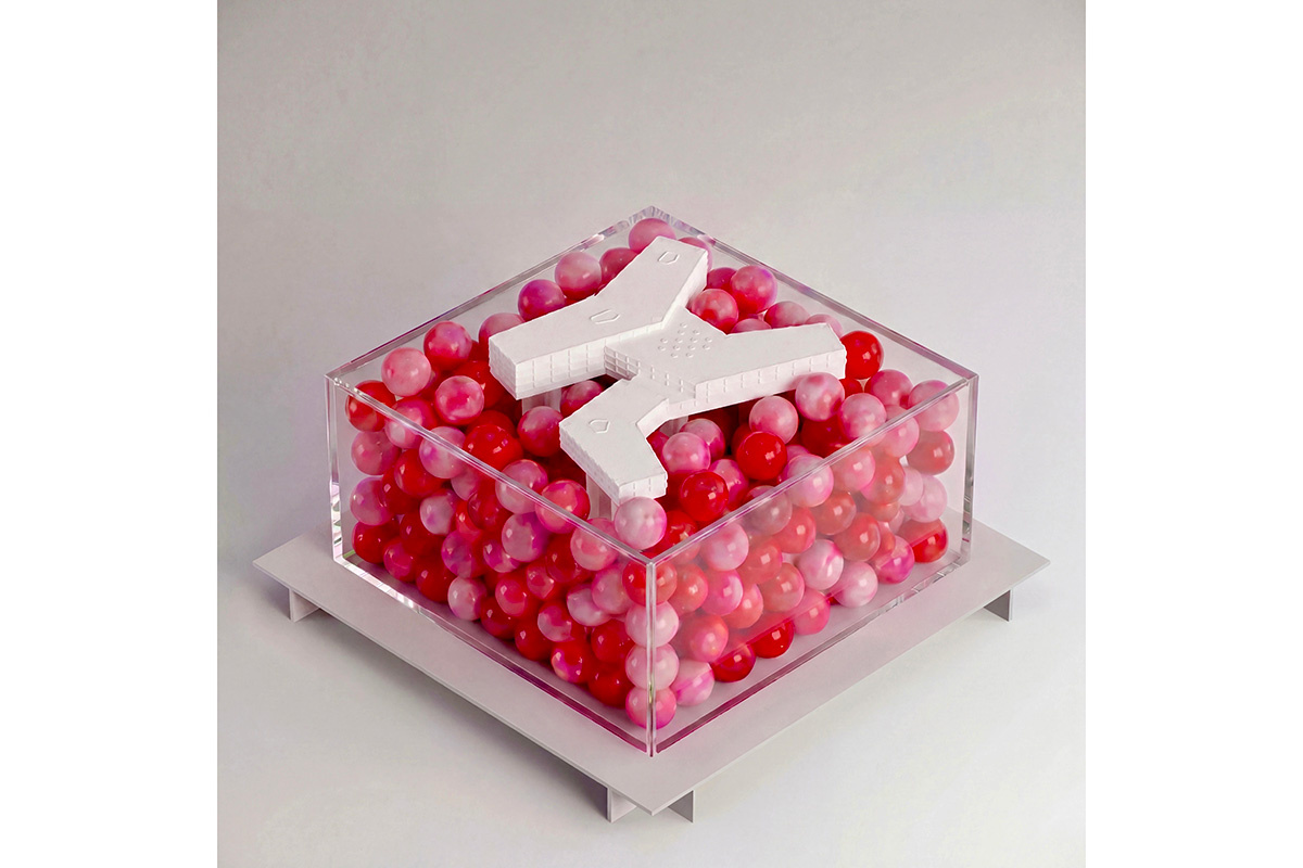 A–House📷Школа Bubble БЮРО GAFA
