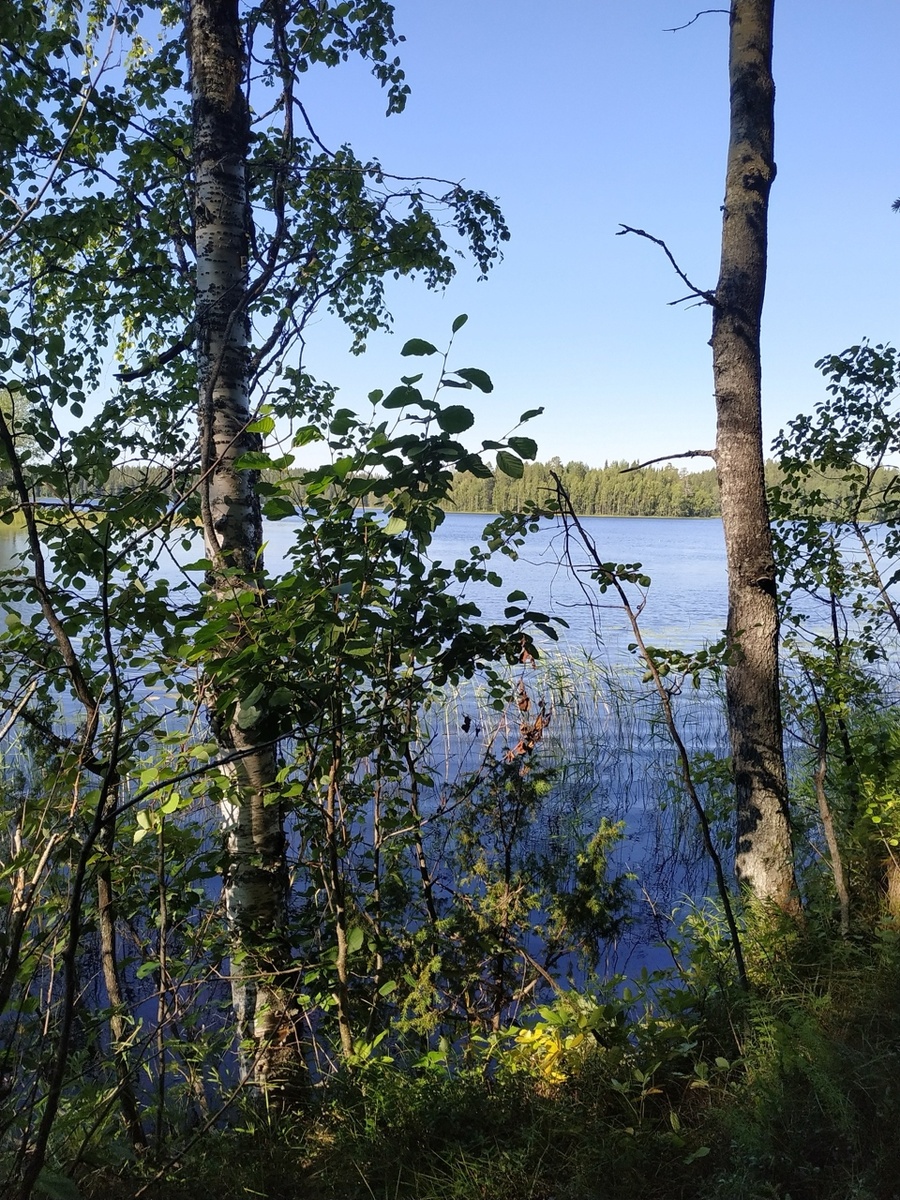 Ещё одно фото озера Пурас