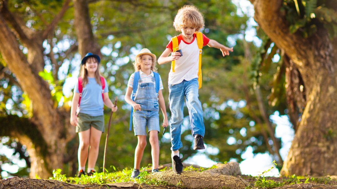 Shutterstock: FamVeld