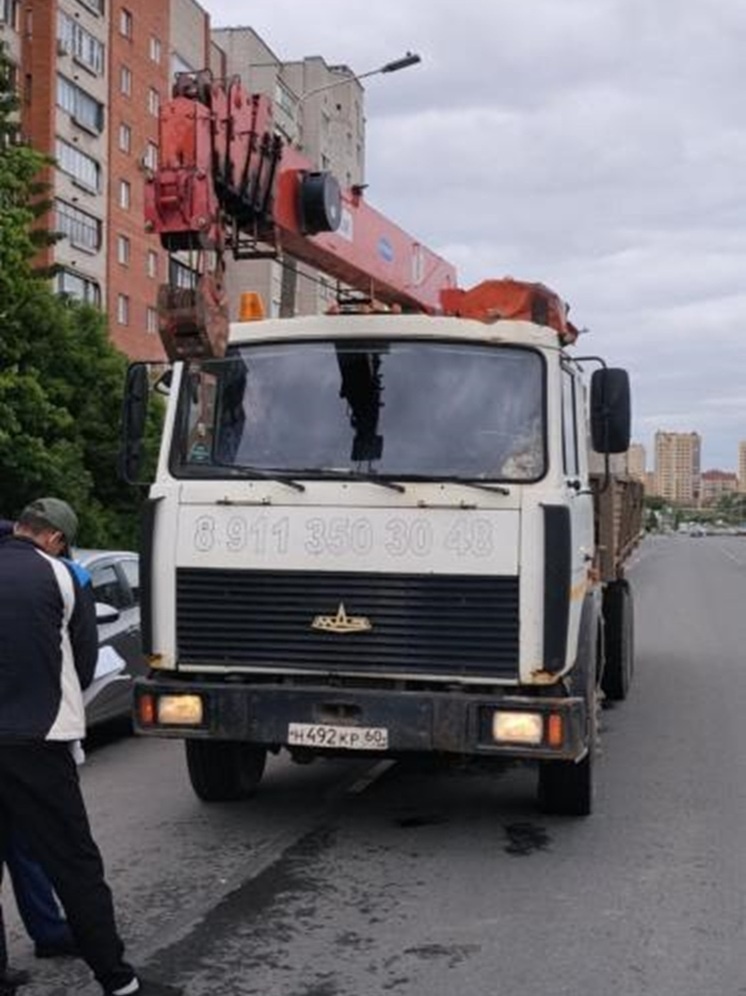     Фото здесь и далее: ПЛН