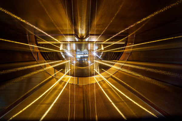 Diego Grandi/Shutterstock/FOTODOM   📷
