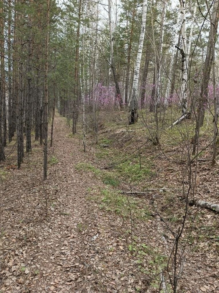 Фото автора.