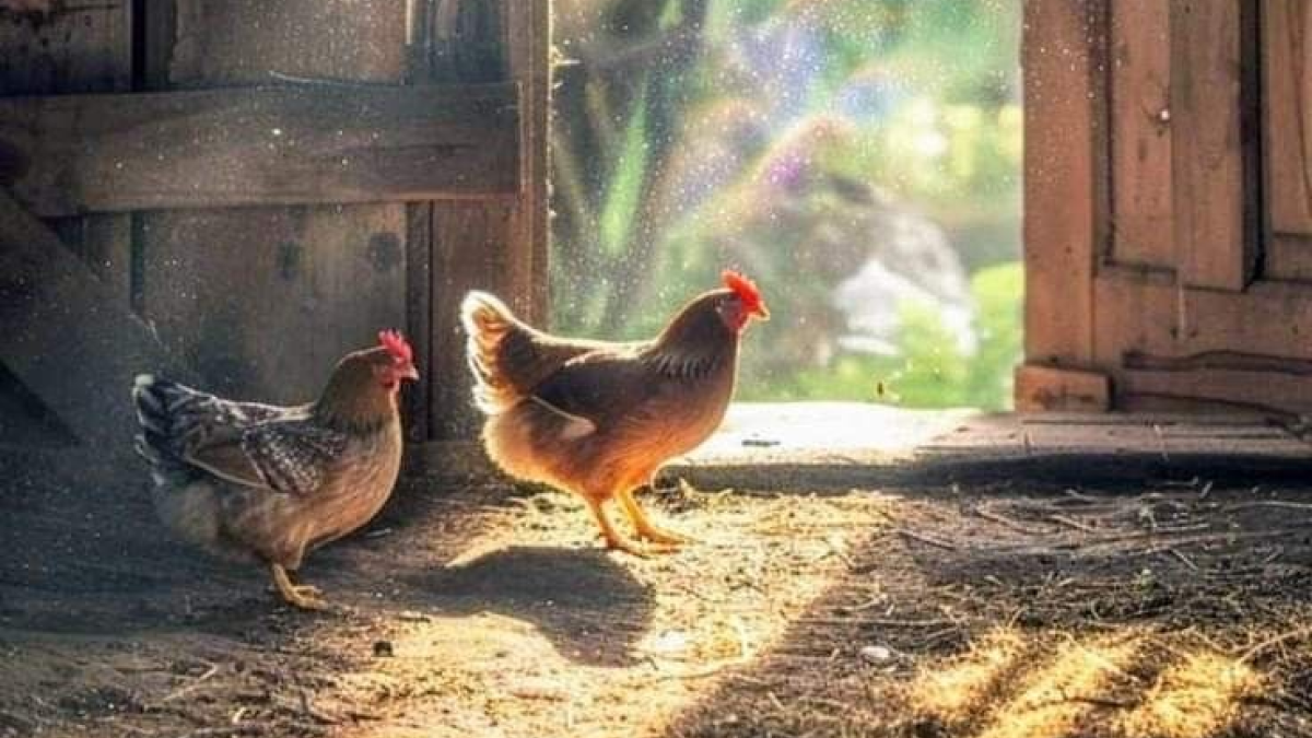 Источник: Pinterest