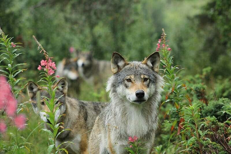 Источник: Pinterest