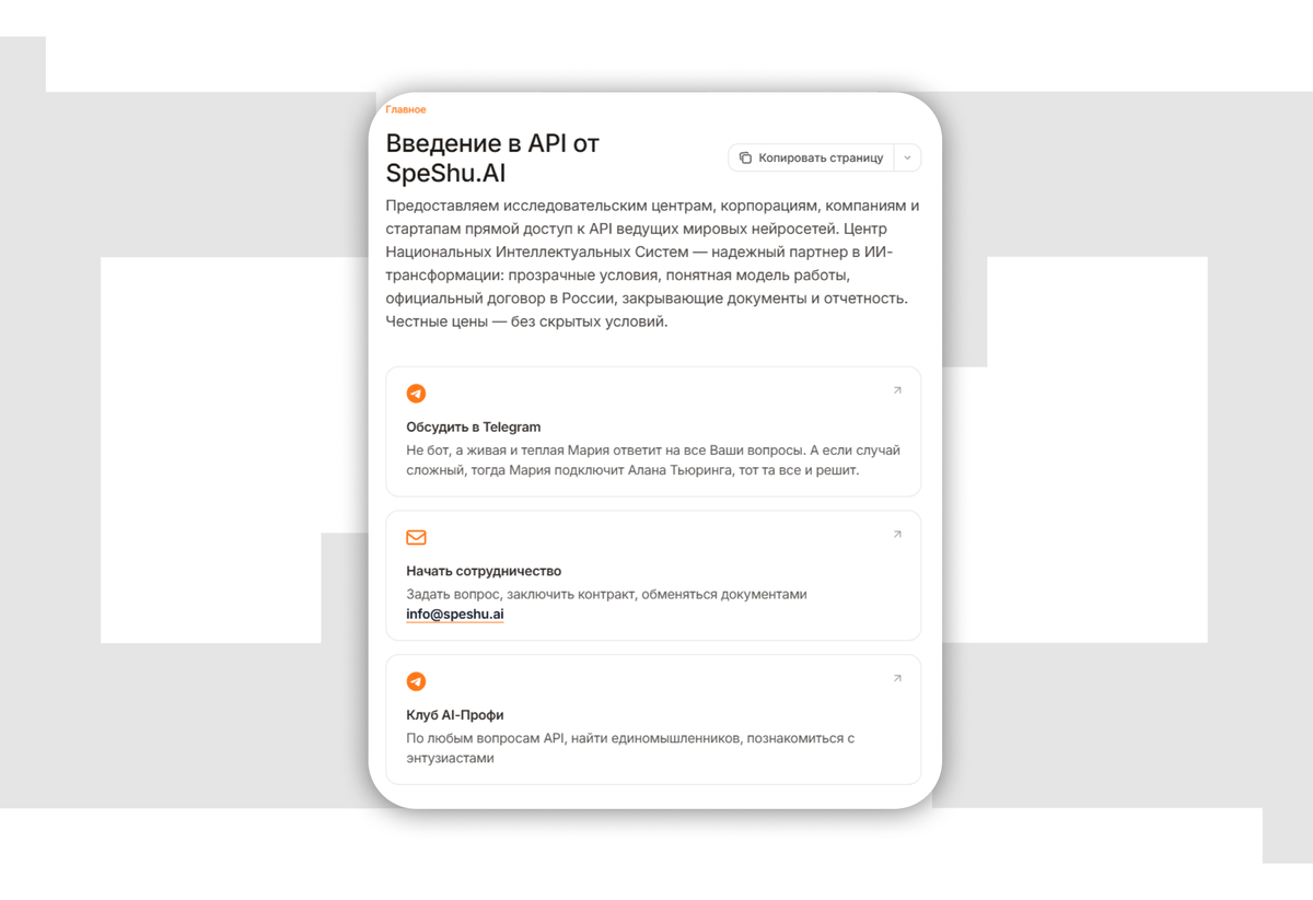 Скриншот из документации API SpeShu.AI