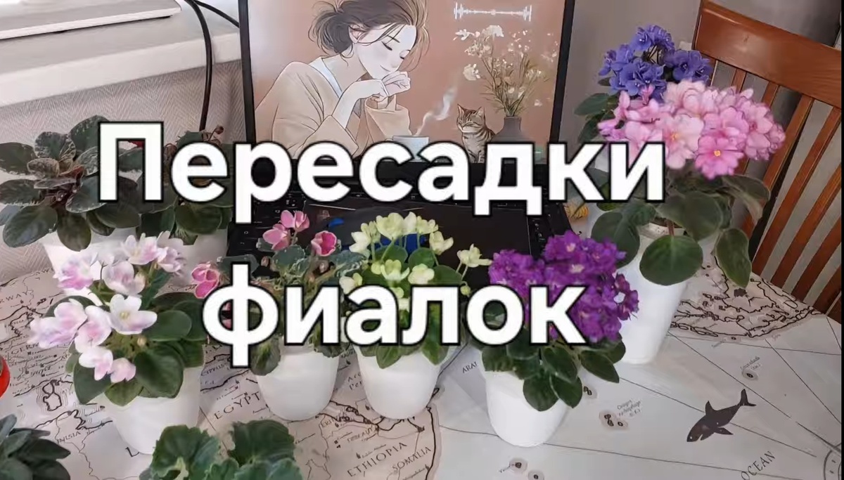Смотрите в ВК.